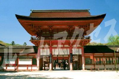下鴨神社